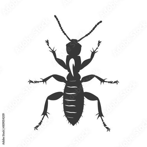 Silhouette termite animal full body black color only
