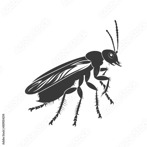 Silhouette termite animal full body black color only