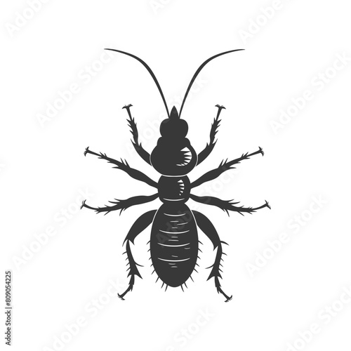 Silhouette termite animal full body black color only