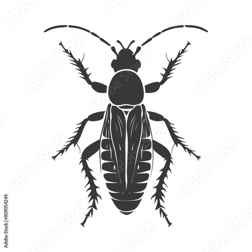 Silhouette termite animal full body black color only
