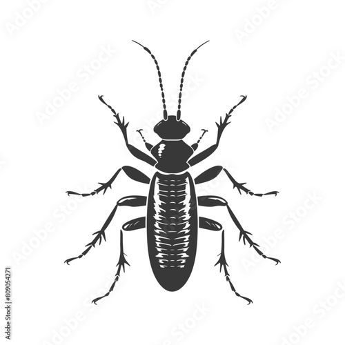 Silhouette termite animal full body black color only