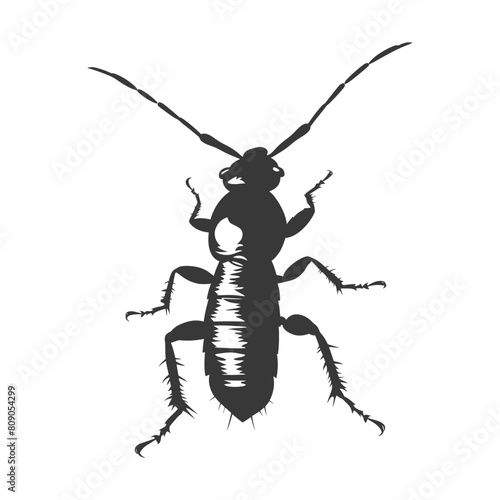 Silhouette termite animal full body black color only