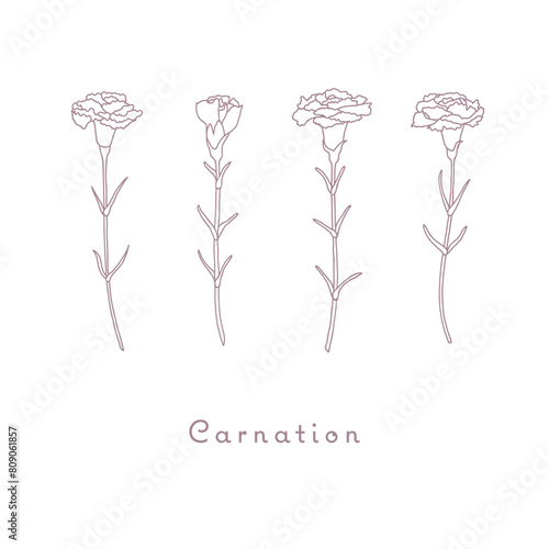 カーネーションのベクターイラスト