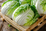 Fresh Napa cabbages in a wooden crate, perfect for culinary concepts, healthy eating, and related to Asian cuisine and cultural celebrations like the Korean Kimjang