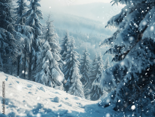 Enchanting Winter Wonderland Forest with Falling Snowflakes © aka_artiom