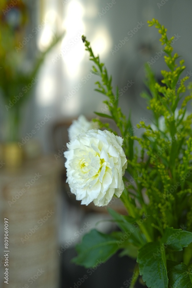 White dahlia flower on blurry background. Fresh flower for decorate indoor. Dahlia variabilis White dahlia flower on blurry background. Fresh flower for decorate indoor. Dahlia variabilis