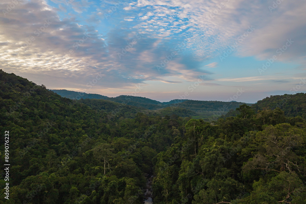Aerial top view forest tree or Rainforest ecosystem and healthy environment concept background. Aerial top view forest tree or Rainforest ecosystem and healthy environment concept background.