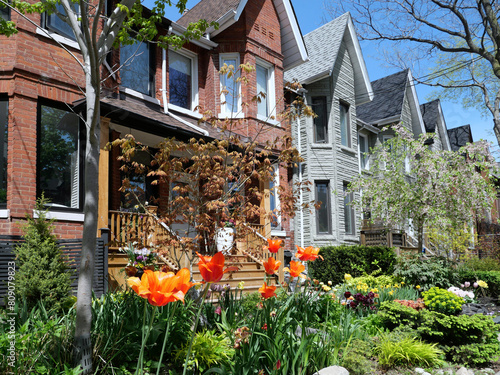 Residential neighborhood with tall narrow houses with gables and garden with spring flowers