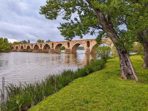 Stone bridge over Douro river. Zamora city, Castile-Leon, Spain