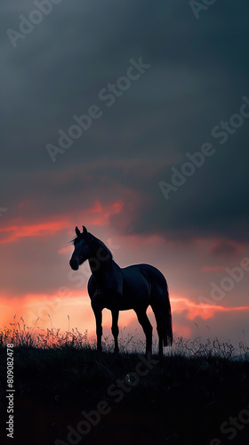 Dramatic Silhouette of Horse on Hill at Evening  
