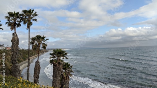 Southern California beach scenics with sunsets, surfers, tide pools and palms trees at Swamis Reef Surf Park Encinitas California.