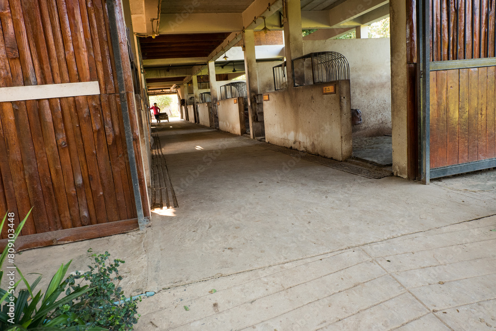 Empty horse stalls in old stable building at horse farm. Empty horse stalls in old stable building at horse farm.