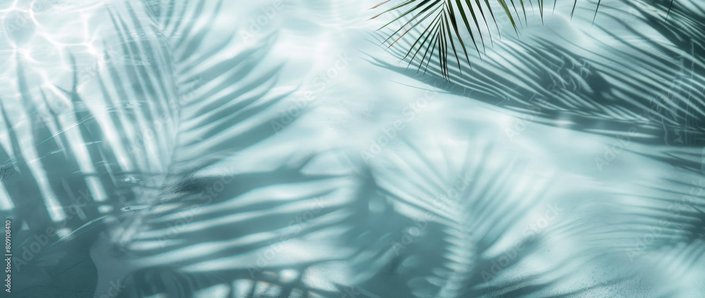 light blue background, palm leaves shadows on the water surface, minimalistic, tropical aesthetic, white and light gray colors, blurred. light blue background, palm leaves shadows on the water surface, minimalistic, tropical aesthetic, white and light gray colors, blurred.