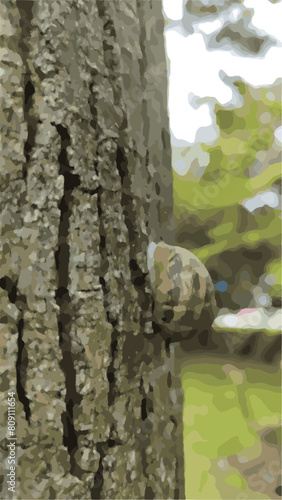 Caracol en el arbol