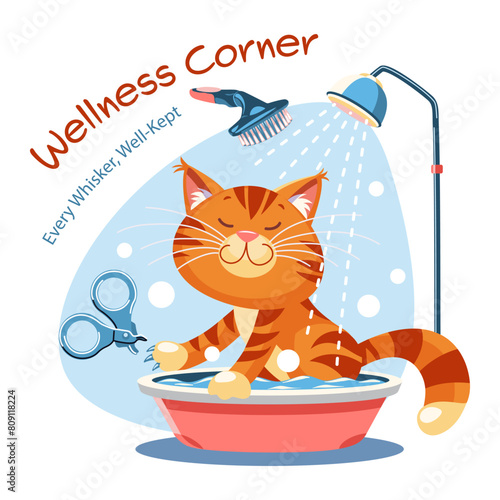 Modern vector concepts for website - cat hygiene and grooming (ID: 809118224)