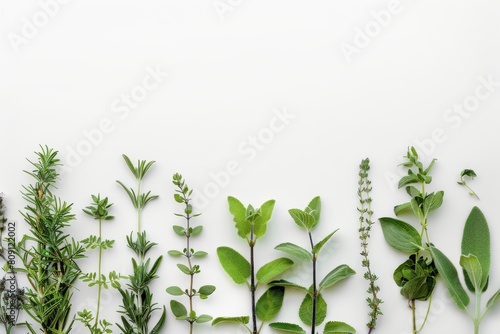 Minimalist arrangement of Mediterranean herbs like oregano and sage, clean white background