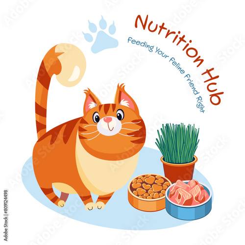 Modern vector illustration concepts for website - cat nutrition guide (ID: 809124498)