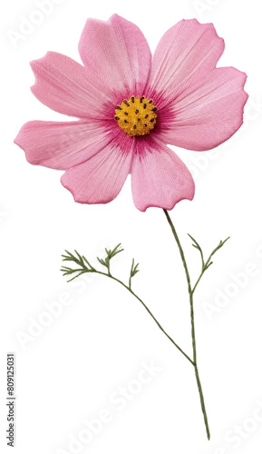 PNG Blossom flower petal plant