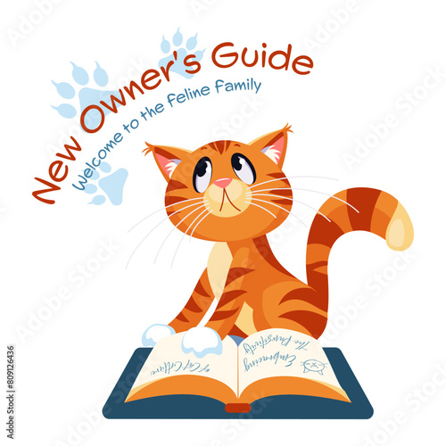Modern vector concepts for website - guide for new cat owners (ID: 809126436)