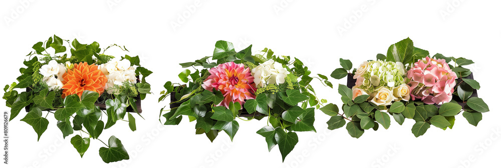 set of table centerpieces with hydrangeas, dahlias, and ranunculus surrounded by ivy, isolated on transparent background