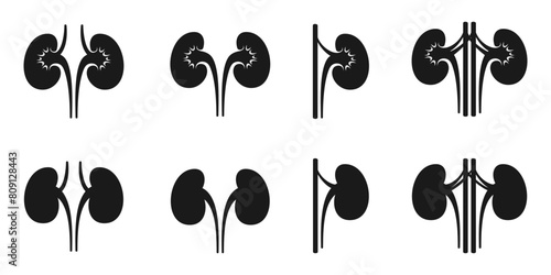 Kidney icon set. vector illustration isolated on white background.