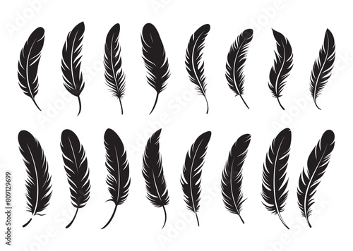 a set of feathers silhouette vector art illustration on white background, for graphic designs