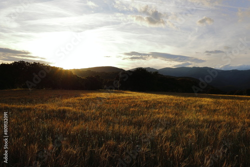 SUNSET WITH THE SUN BATHING THE COUNTRYSIDE