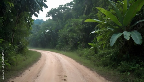 A dirt road disappearing into the dense foliage of upscaled 4 photo