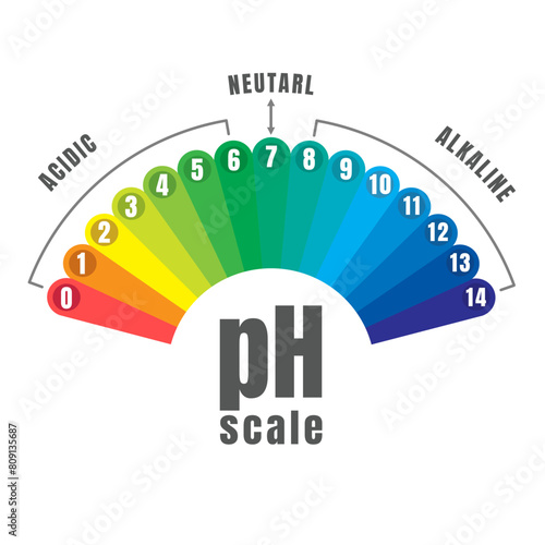 PH Scale Gauge, infographic, vector illustration