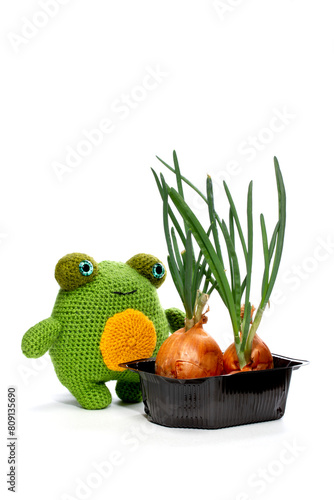 The frog is a soft knitted wool toy made of wool on a white background