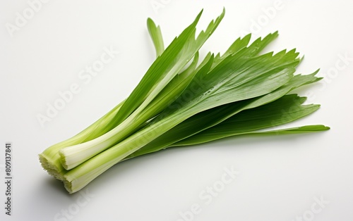Leek Leaf Isolated on Clear Background