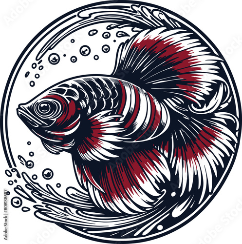 koi fish vector illustration, on a white background.