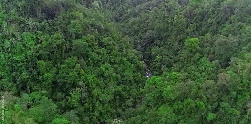 aerial video of green and lush forest trees soothes the eyes and provides a natural atmosphere aerial video of green and lush forest trees soothes the eyes and provides a natural atmosphere