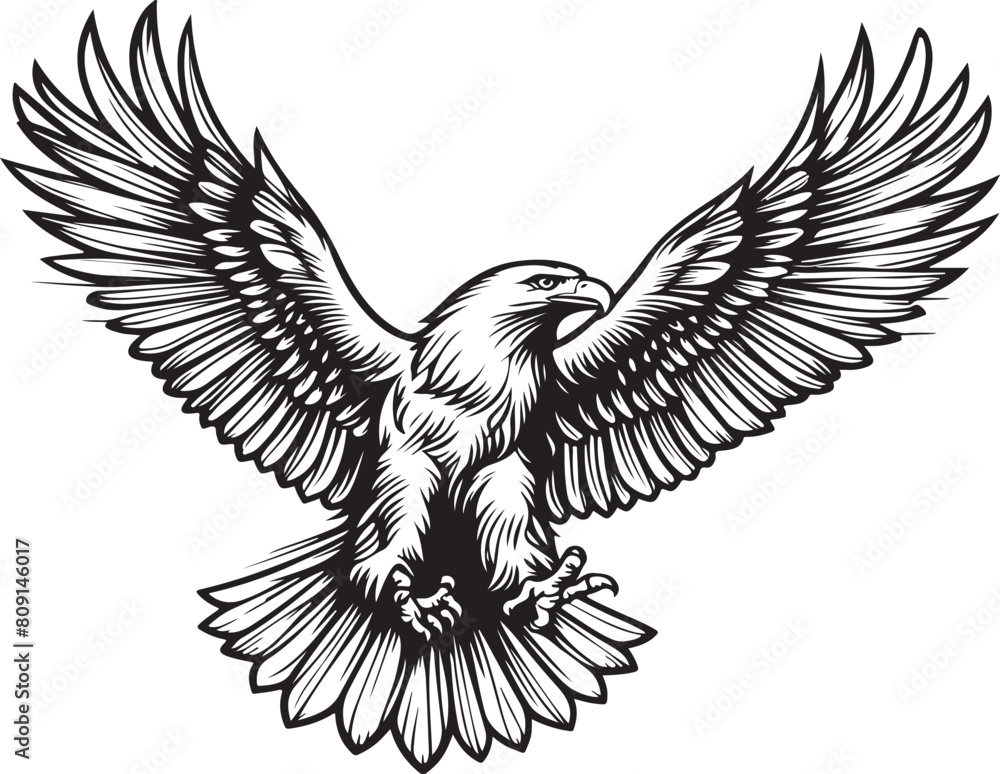 Fototapeta premium Falcon soaring silhouette vector, flying falcon line art illustration