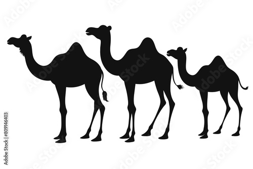 Camels Silhouettes Clipart Set  Camel Silhouette black Vector Bundle design