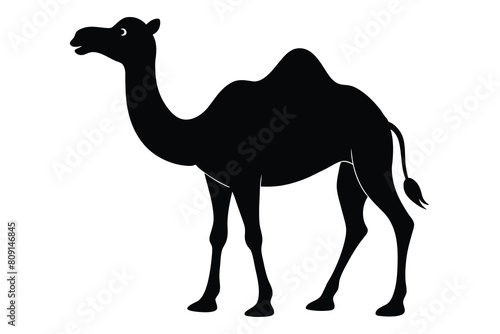 Camels Silhouettes Clipart Set  Camel Silhouette black Vector Bundle design