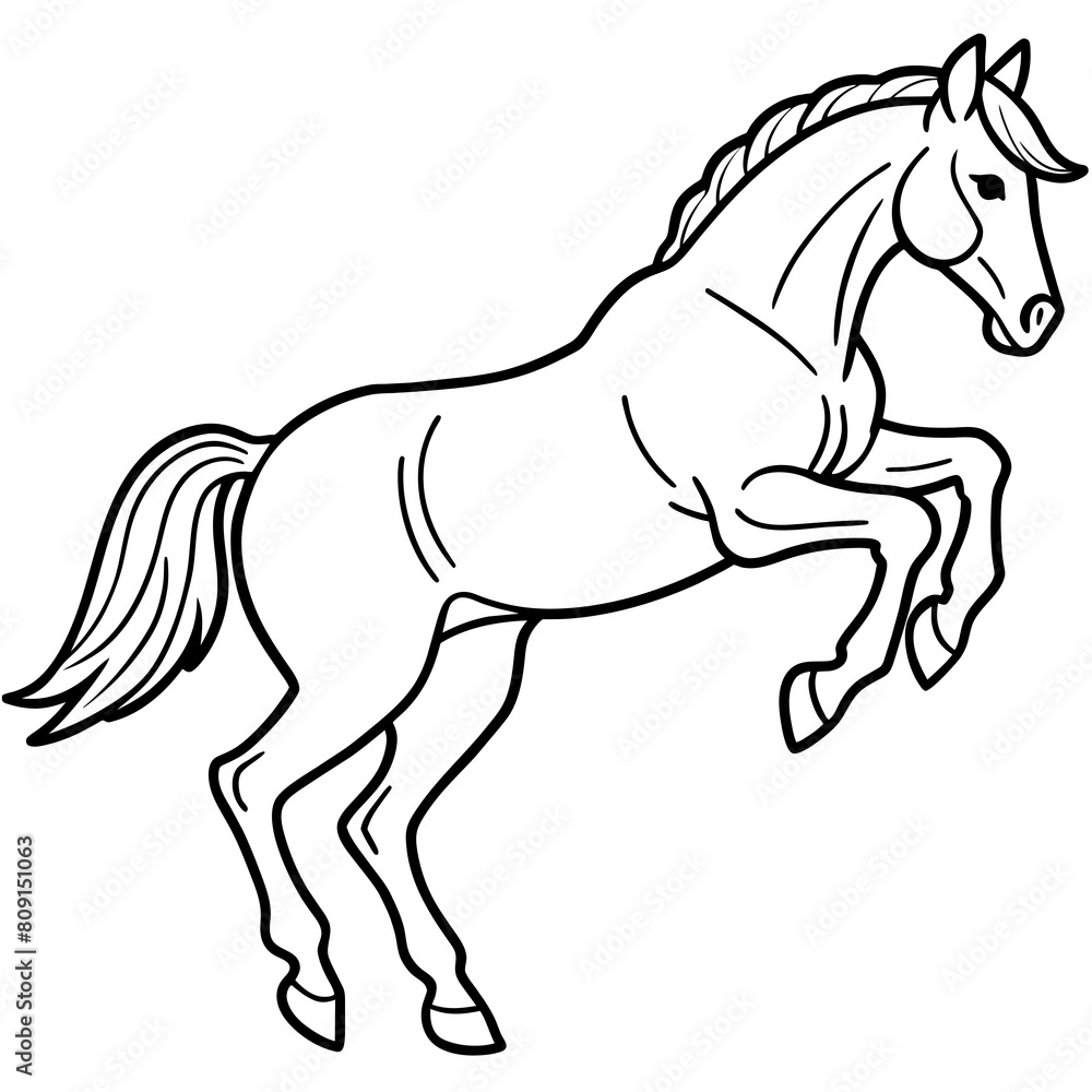 Horse vector illustration Horse vector illustration