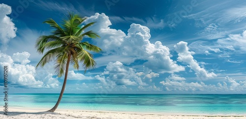 An idyllic scene of a single palm tree on a tranquil sandy beach with crystal-clear water and fluffy clouds