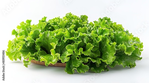 A beautiful close up of a head of lettuce on a white background