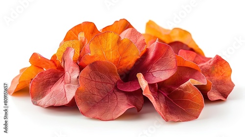 Vibrant red and orange autumn leaves on a white background. photo