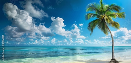 Lone palm tree stands on the edge of a white sandy beach with crystal blue waters and fluffy clouds overhead