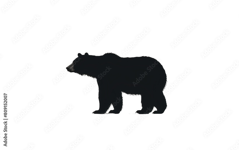 Fototapeta premium silhouette of a bear