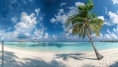 Pristine white sandy beach with a solitary palm tree and overwater bungalows under a vast blue sky with fluffy clouds