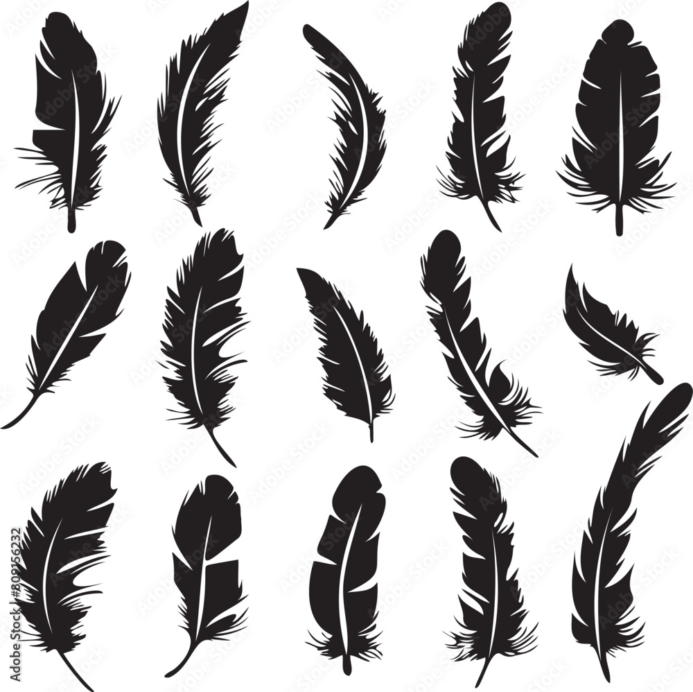 Set of black silhouette feather icons on white background
Set of black silhouette feather icons on white background