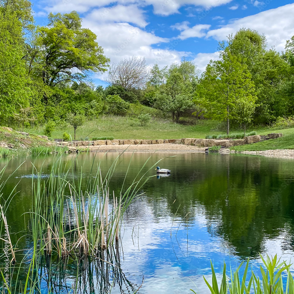 Countryside Pond with Reflections in the Spring Countryside Pond with Reflections in the Spring
