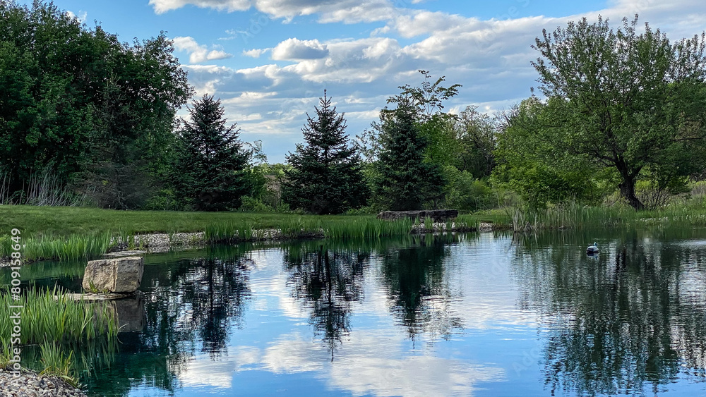 Fototapeta premium Countryside Pond with Reflections in the Spring