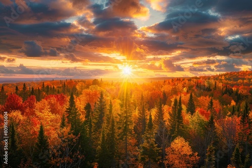 A stunning sunset casting warm hues over a thick forest filled with towering trees  A breathtaking sunset over a forest ablaze with fall colors
