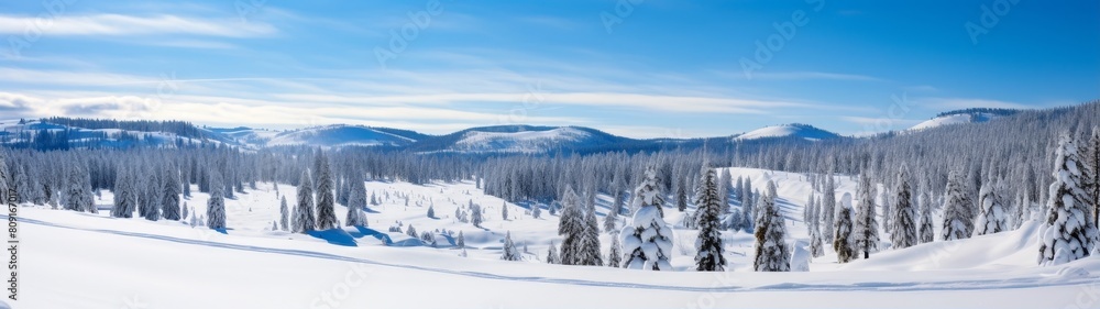 Snowy winter landscape with pine trees and mountains