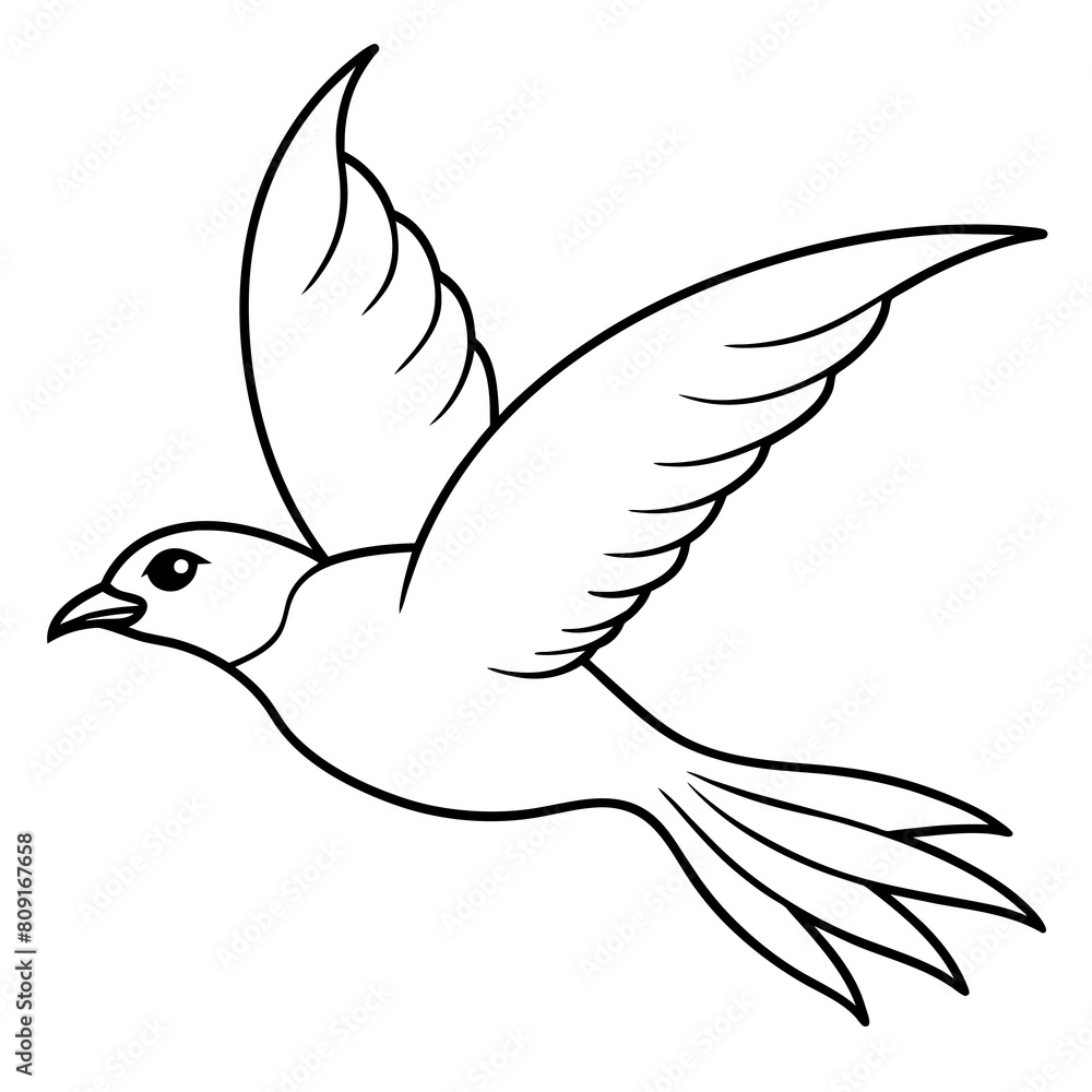 Bird flying line art vector illustration Bird flying line art vector illustration