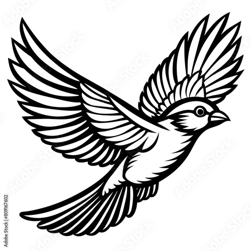 Bird flying line art vector illustration
